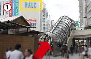 新宿駅「西口」地上にある歩行者デッキのエスカレーターを上ります。「小田急HALC」の看板が目印です。
